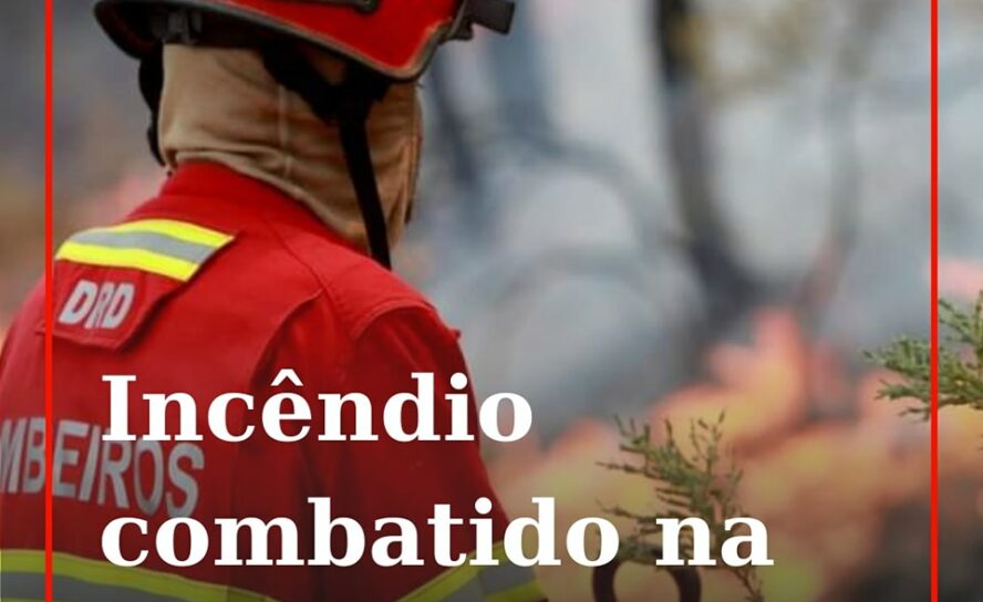 Um fogo numa zona de mato próximo do parque solar da Boidobra