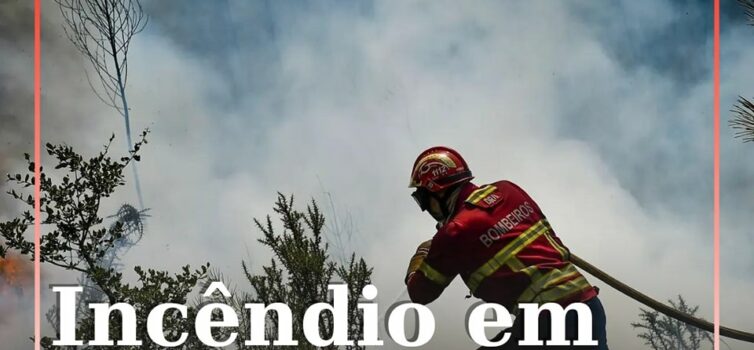 Um incêndio em zona de povoamento florestal deflagrou na localidade de Pizoria,