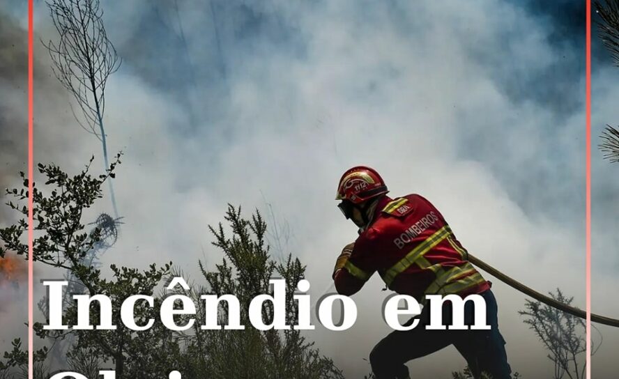 Um incêndio em zona de povoamento florestal deflagrou na localidade de Pizoria,