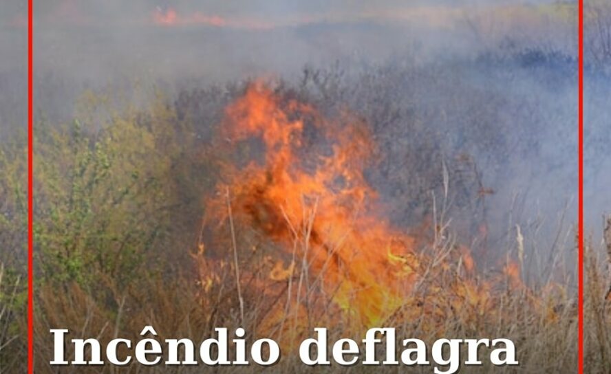 Um incêndio numa zona de mato deflagrou há instantes na localidade de Cortes do