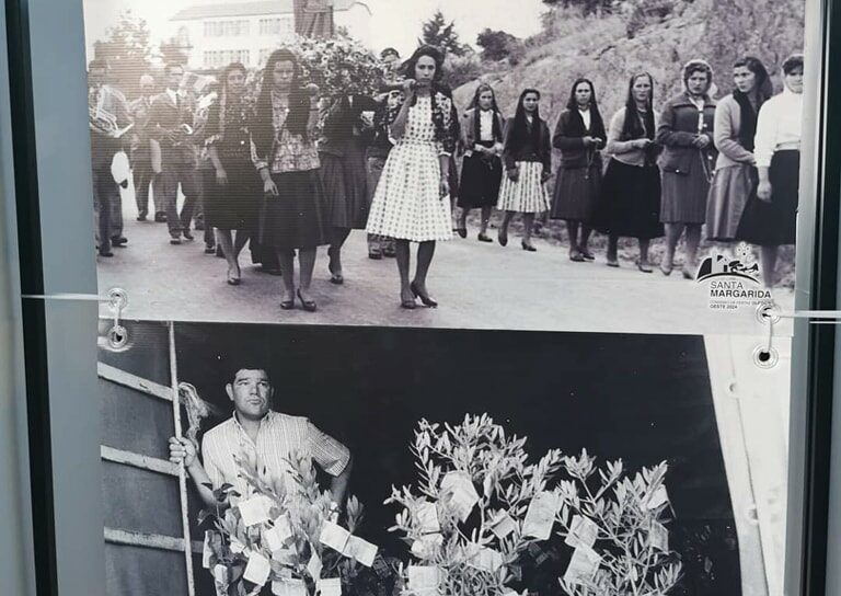 Oleiros