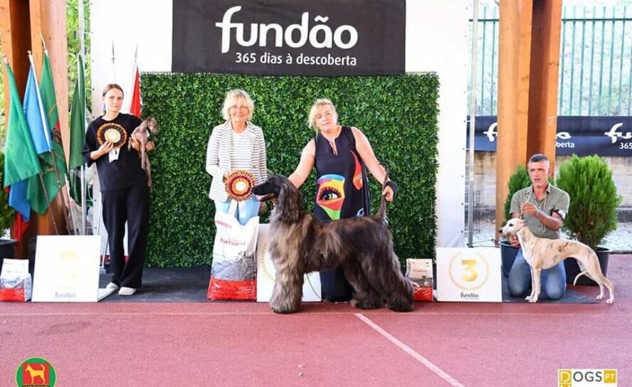 Fundão
