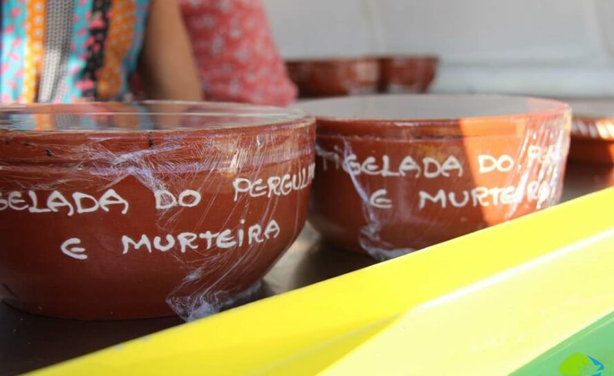 Proença-a-Nova