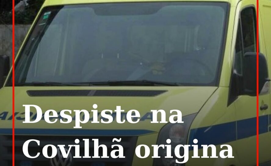 Camião do lixo despista-se