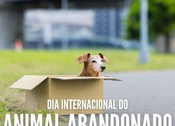 Dia Internacional do Animal Abandonado