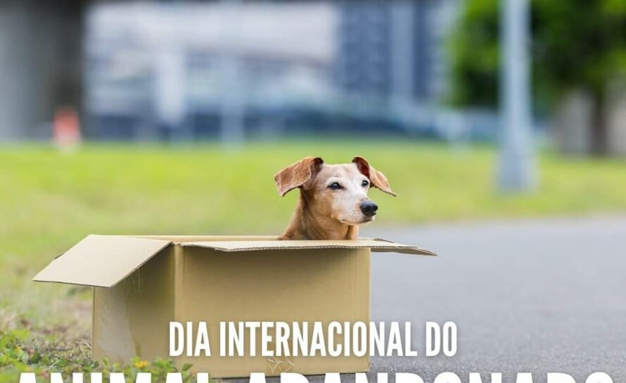Dia Internacional do Animal Abandonado