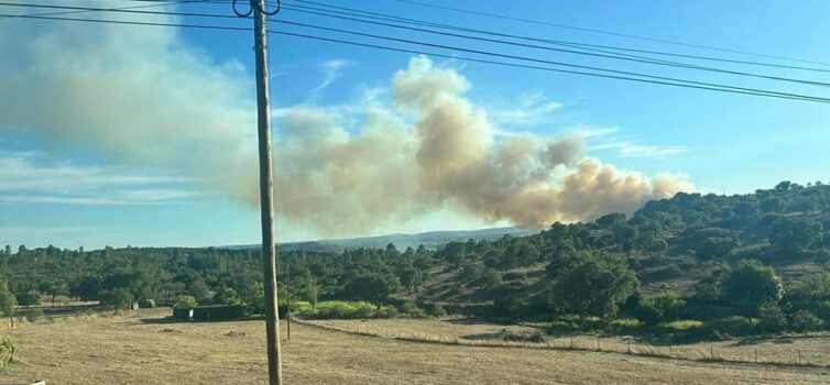 Incêndio deflagra em Fortios