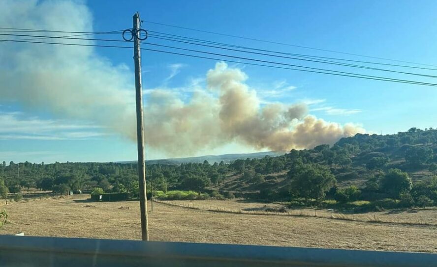 Incêndio deflagra em Fortios