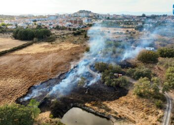 Incêndio em Castelo Branco combatido por mais de 40 Bombeiros