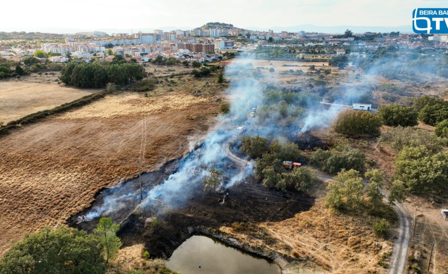 Incêndio em Castelo Branco combatido por mais de 40 Bombeiros