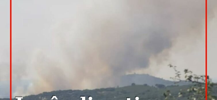 Mais de 100 operacionais combatem incêndio em Fortios
