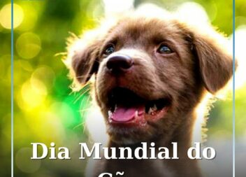 Melhor amigo do homem tem data especial