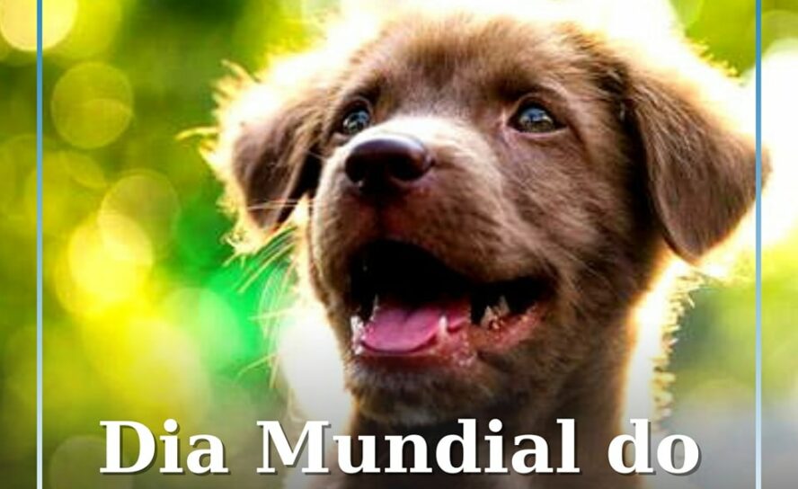 Melhor amigo do homem tem data especial