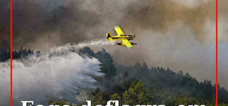 O alerta para um foco de incêndio que lavra uma zona de mato em Mata da Rainha,