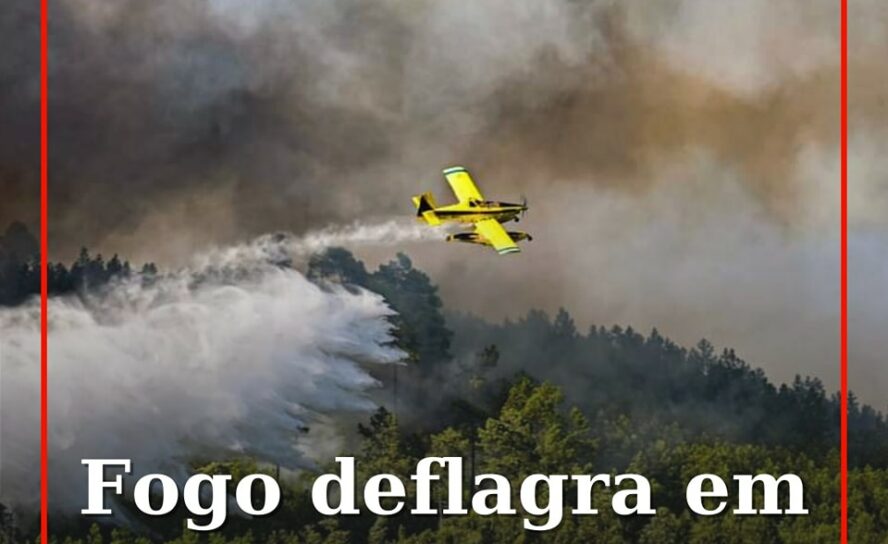 O alerta para um foco de incêndio que lavra uma zona de mato em Mata da Rainha,