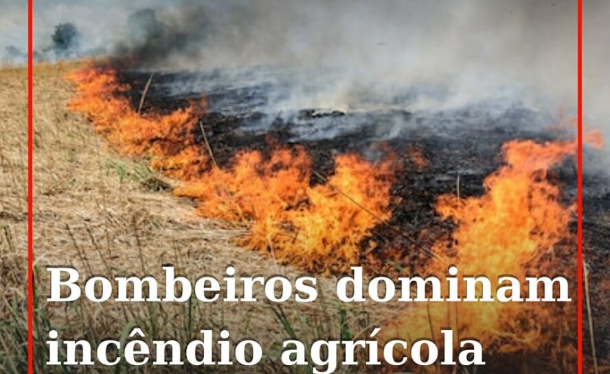 Três meios aéreos mobilizados