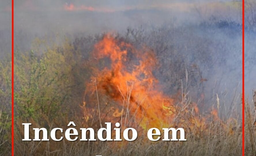Um foco de incêndio numa zona de mato deflagrou na Sapateira, em Castelo Branco,