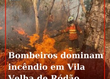 Um foco de incêndio propagou-se numa zona de mato entre a EN3 e a A23, na locali