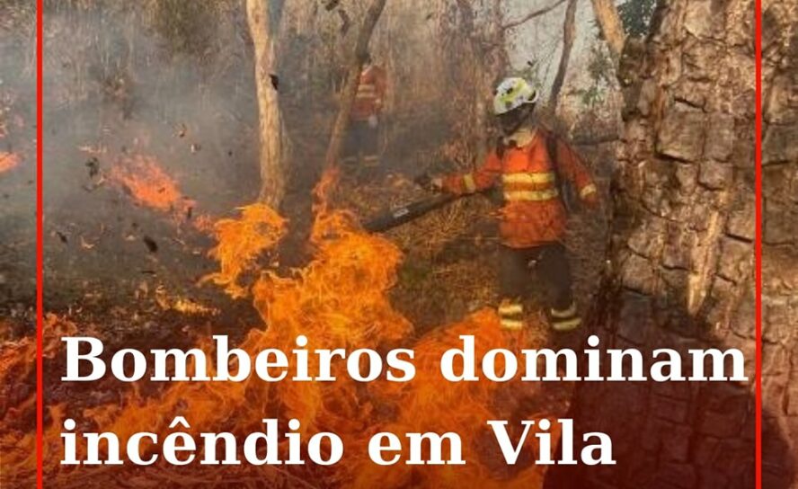 Um foco de incêndio propagou-se numa zona de mato entre a EN3 e a A23, na locali