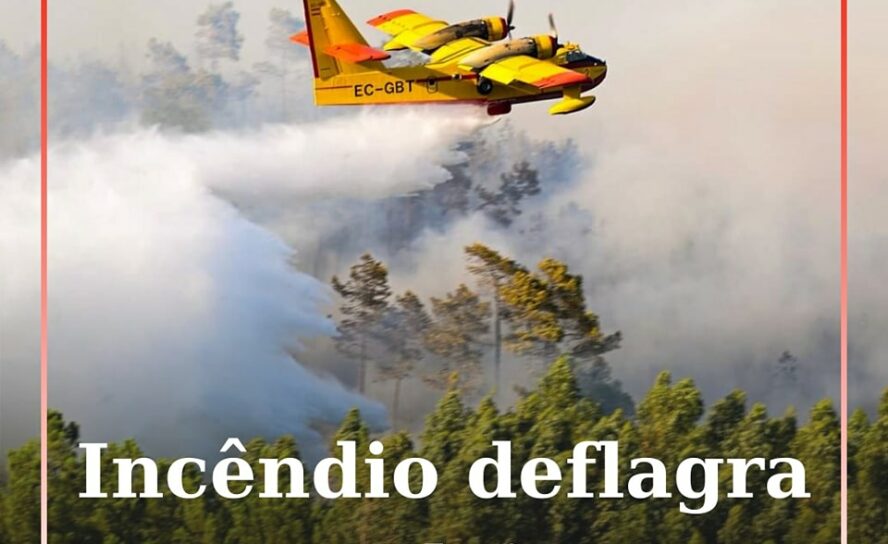 Um incêndio deflagrou em zona de povoamento florestal em Vale da Fonte