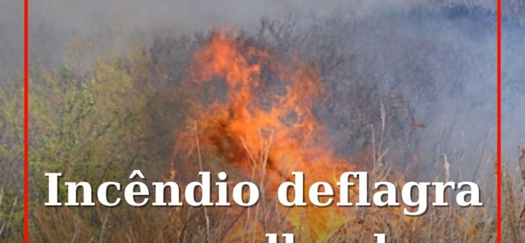 Um incêndio deflagrou numa zona de mato em Alpedrinha, no concelho do Fundão, di