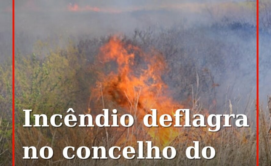 Um incêndio deflagrou numa zona de mato em Alpedrinha, no concelho do Fundão
