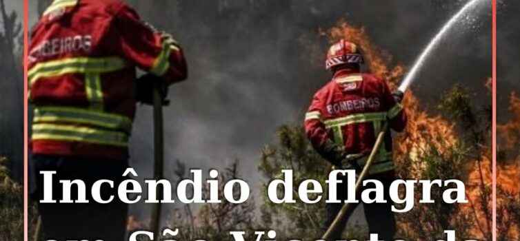 Um incêndio deflagrou numa zona de mato na localidade de São Vicente da Beira