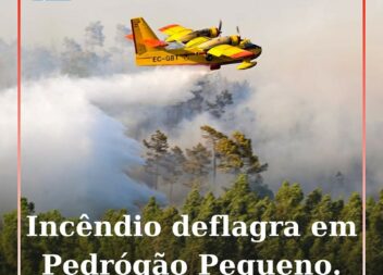 Um incêndio deflagrou numa zona de povoamento florestal, em Pedrógão Pequeno
