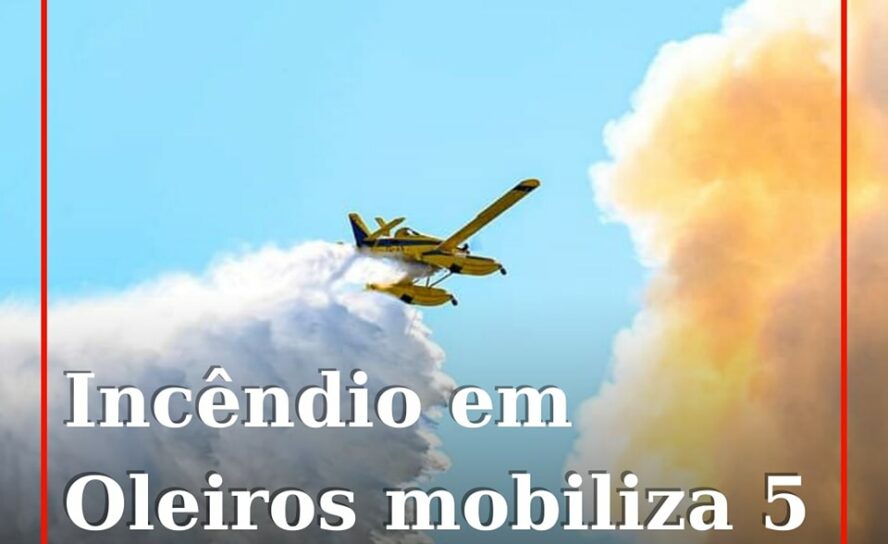Um incêndio florestal deflagrou na localidade de Sandinho de Santo Amaro