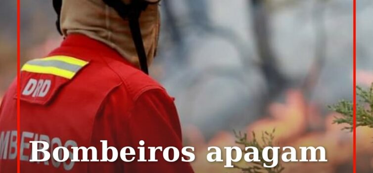 Um incêndio florestal que deflagrou na Senhora dos Remédios
