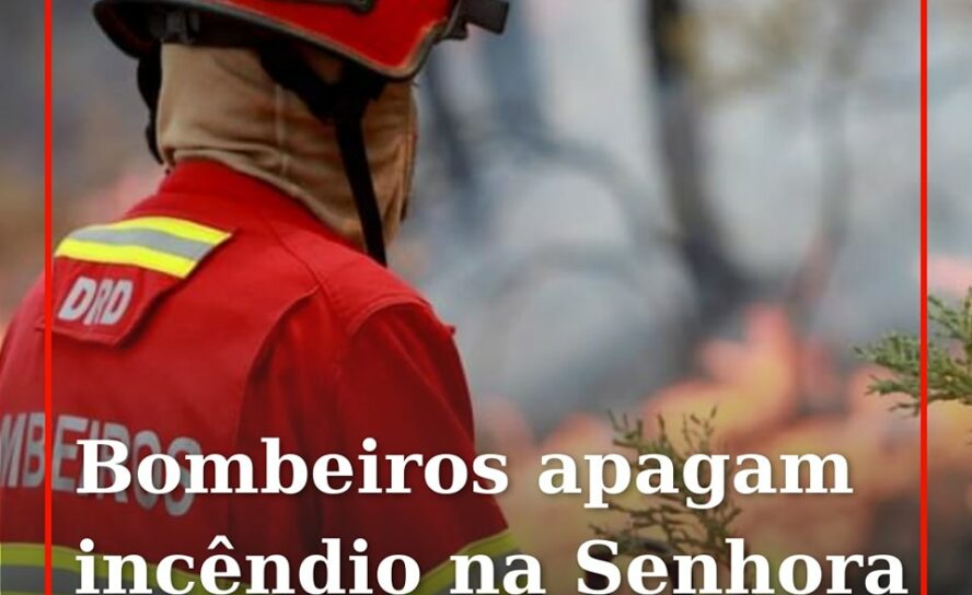 Um incêndio florestal que deflagrou na Senhora dos Remédios