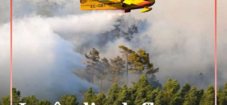 Um incêndio numa área agrícola deflagrou em Estreito