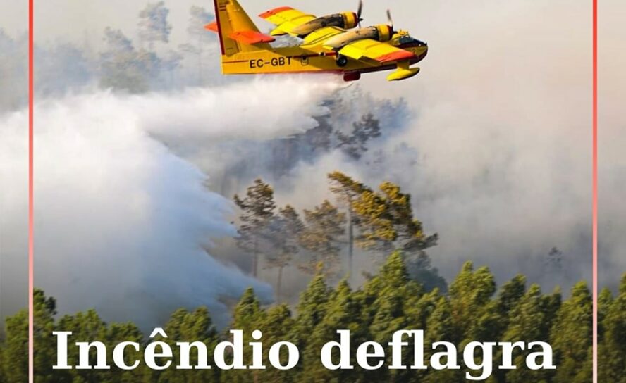 Um incêndio numa área agrícola deflagrou em Estreito