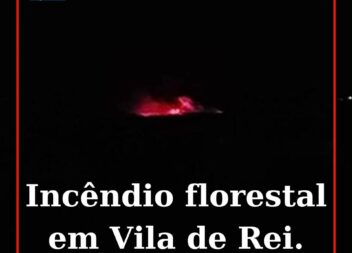 Um incêndio numa zona de povoamento florestal deflagrou esta noite em Abrunheiro