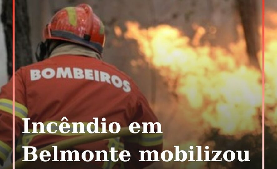 Um incêndio que lavrou uma zona maioritariamente constituída por mato