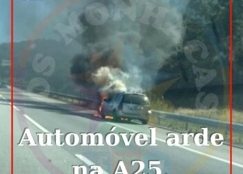Um veículo ligeiro de passageiros ardeu esta tarde na A25, ao km 161, no sentido