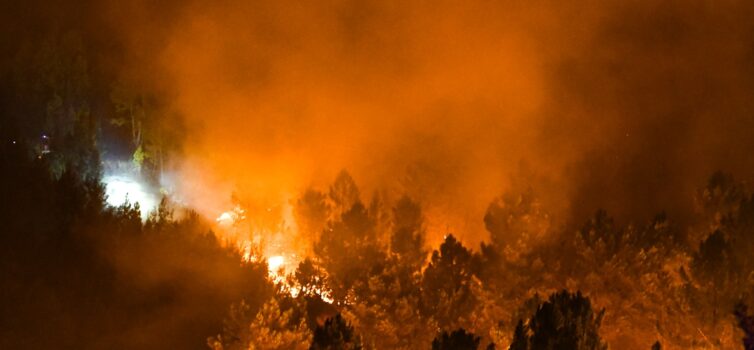 Incêndio em Silvares espera mobilizar 600 operacionais