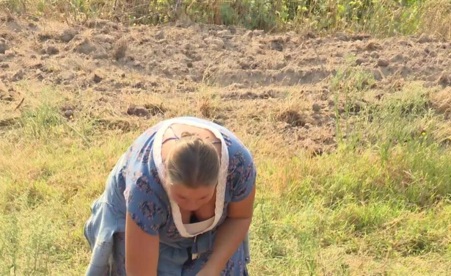 Incêndio deflagra em Louriçal do Campo
