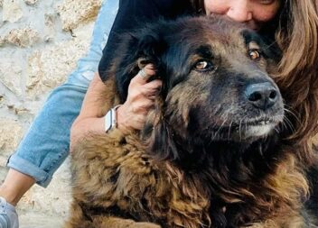 1º Dia Mundial do Cão Serra da Estrela chegou