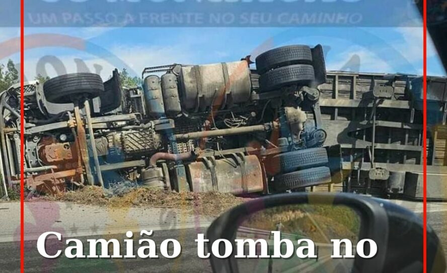 Despiste no IC8 faz um ferido e condiciona o trânsito
