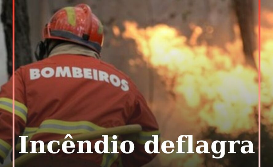 Dois meios aéreos dominam incêndio