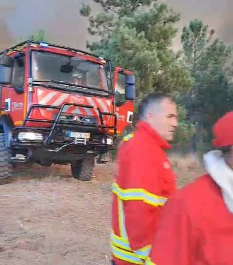 Incêndio ameaça habitações em Silvares