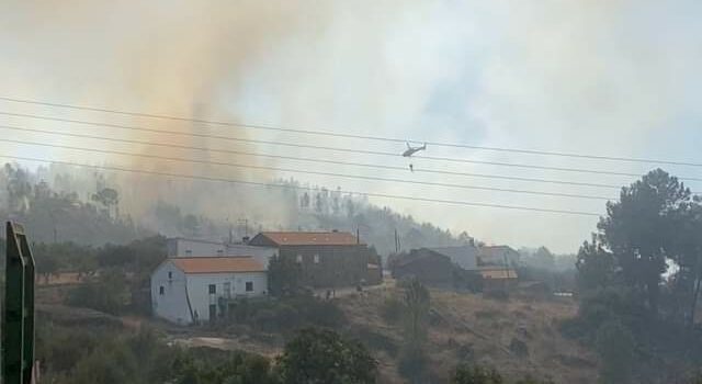Incêndio em Louriçal do Campo