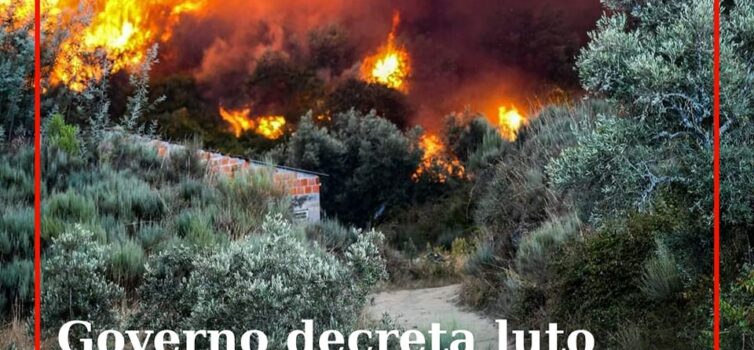 O Governo decidiu, nesta quinta-feira, "em articulação com o Presidente da Repúb