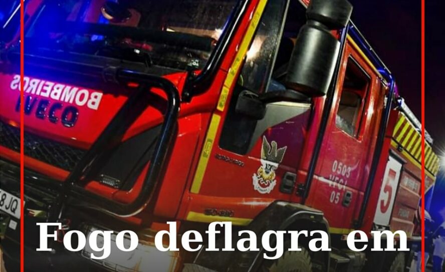 Os Bombeiros foram alertados para um foco de incêndio numa zona de mato