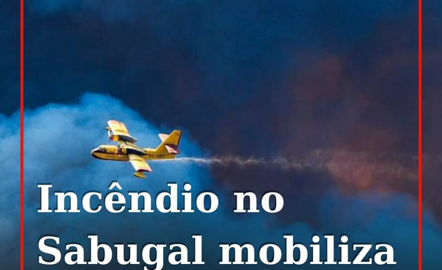 Um incêndio deflagrou numa zona de mato em Vale de São Nicolau