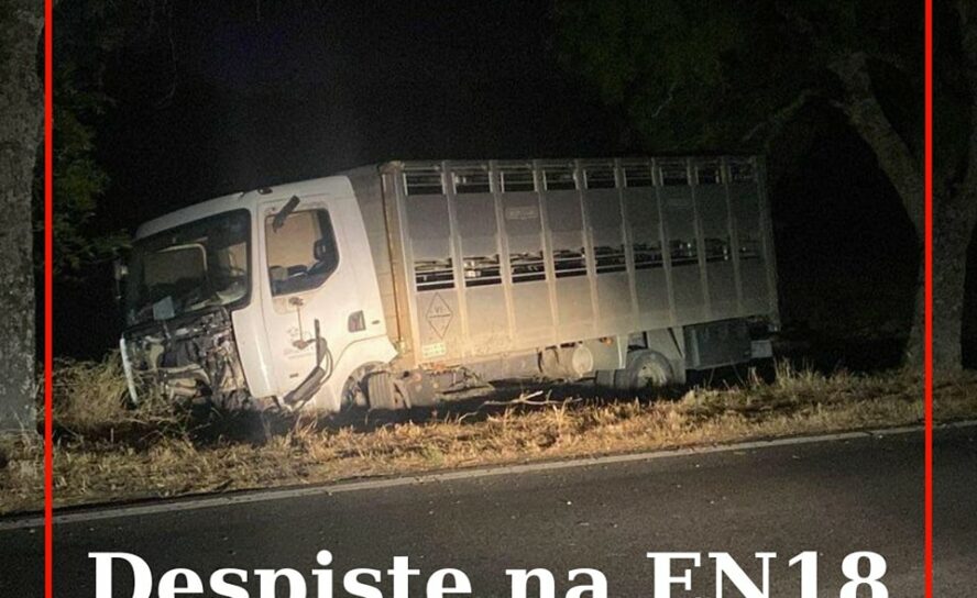 Um veículo pesado de mercadorias despistou-se na EN18