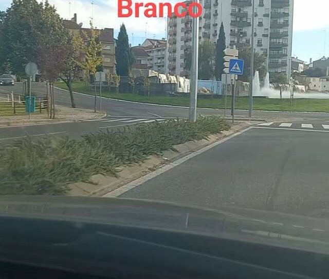 Uma colisão entre um veículo ligeiro de passageiros e um autocarro