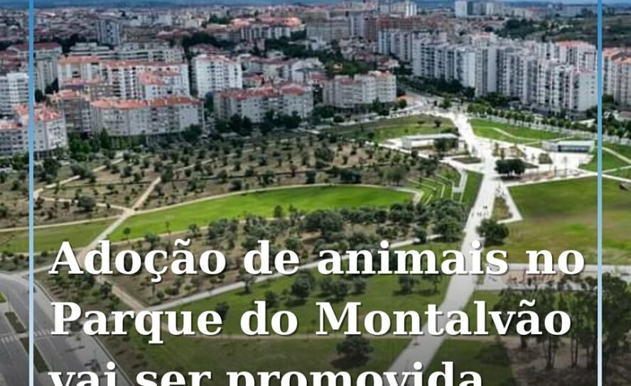 Castelo Branco