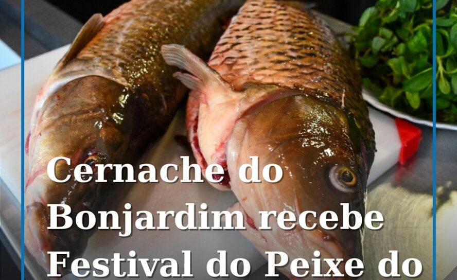 Sertã